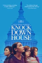 Cover of Knock Down the House poster