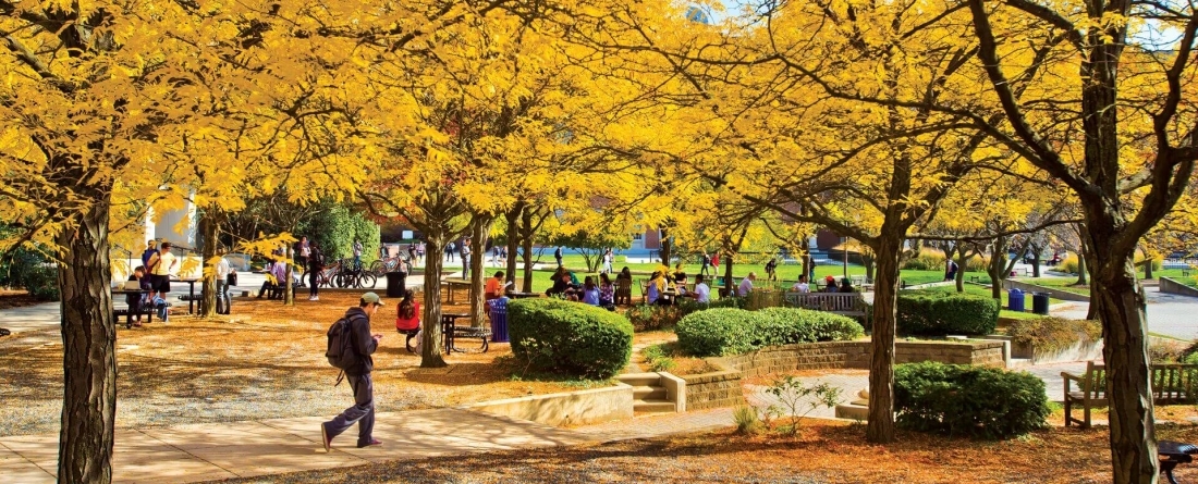 Campus in fall
