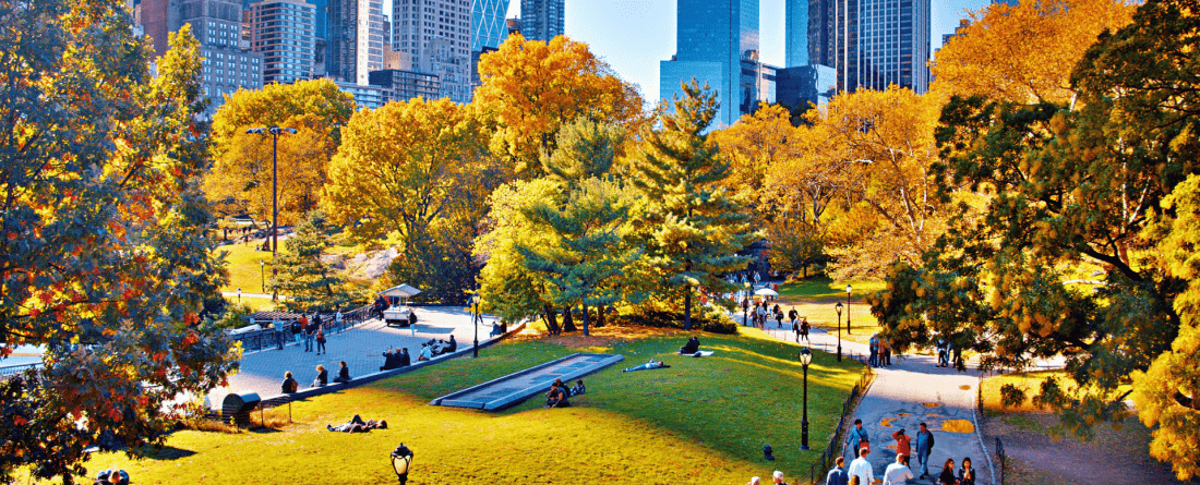 Picture of New York City park with buildings surrounding