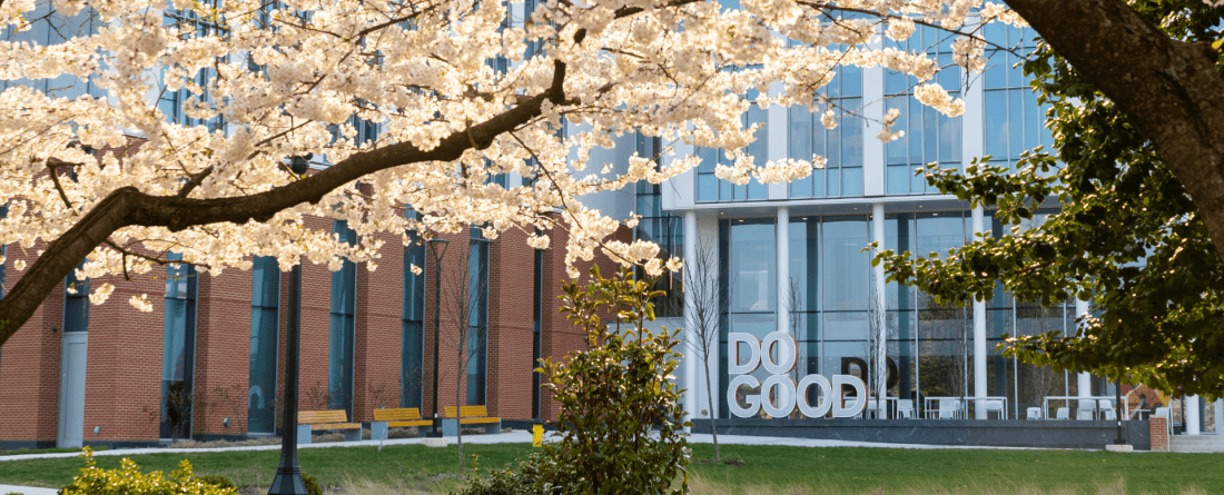 Landscape shot of Do Good Plaza, the Do Good sign in the background with a large cherry blossom tree in the foreground.