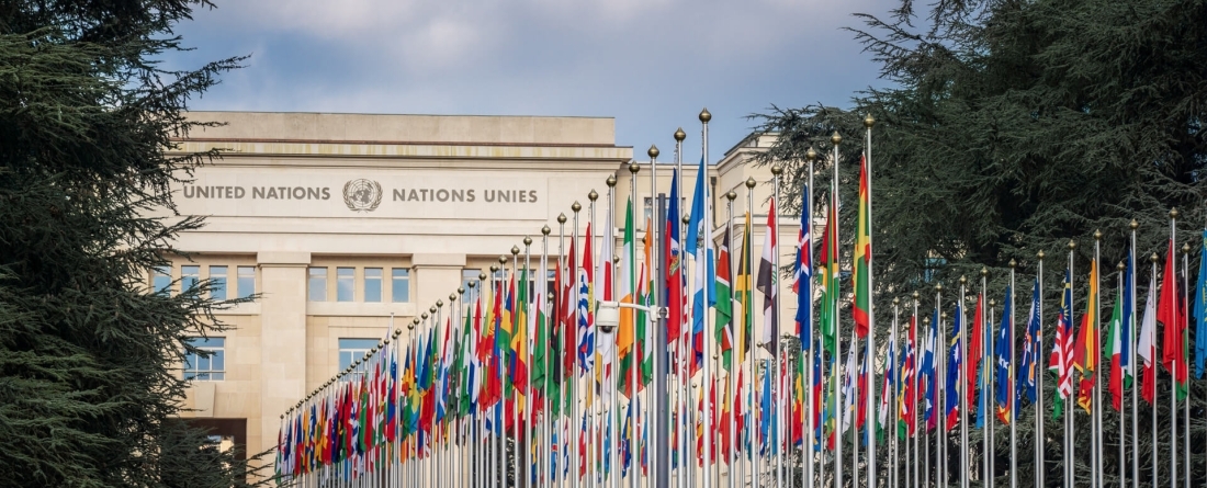 image of front of United nations building in new York with flags of all the countries out front