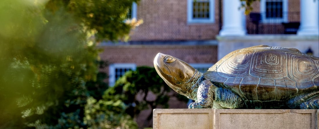 Statue of Testudo on University of Maryland campus