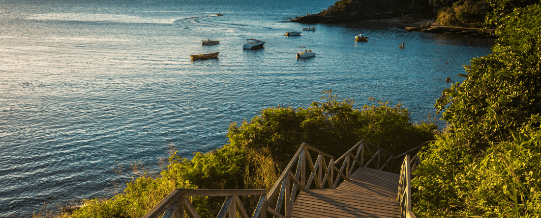 A view from a staircase down to a blue oceanfront with tall grasses surrounding the boardwalk.