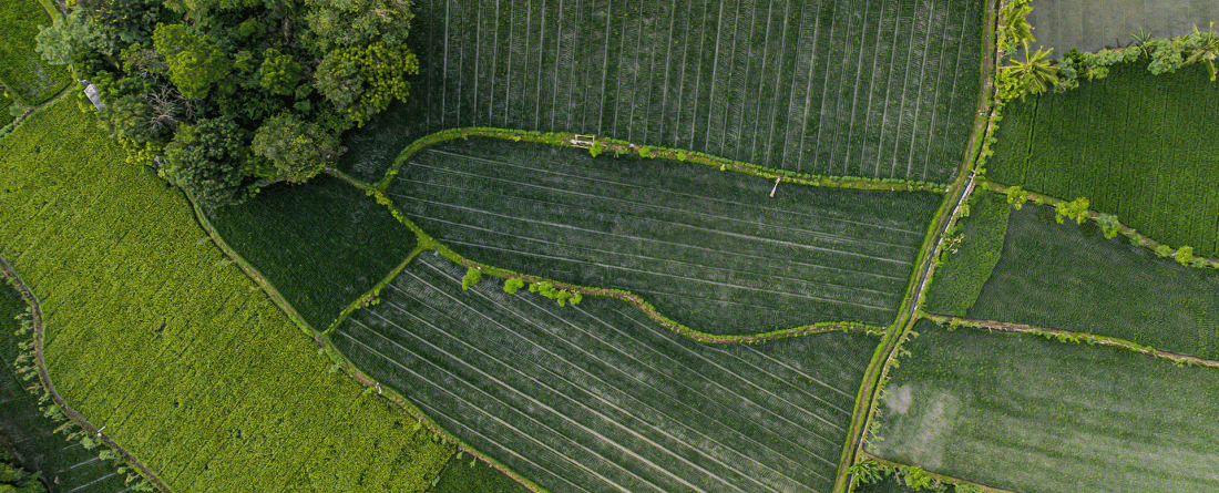 Aerial View of Indonesia Agricultural Land 