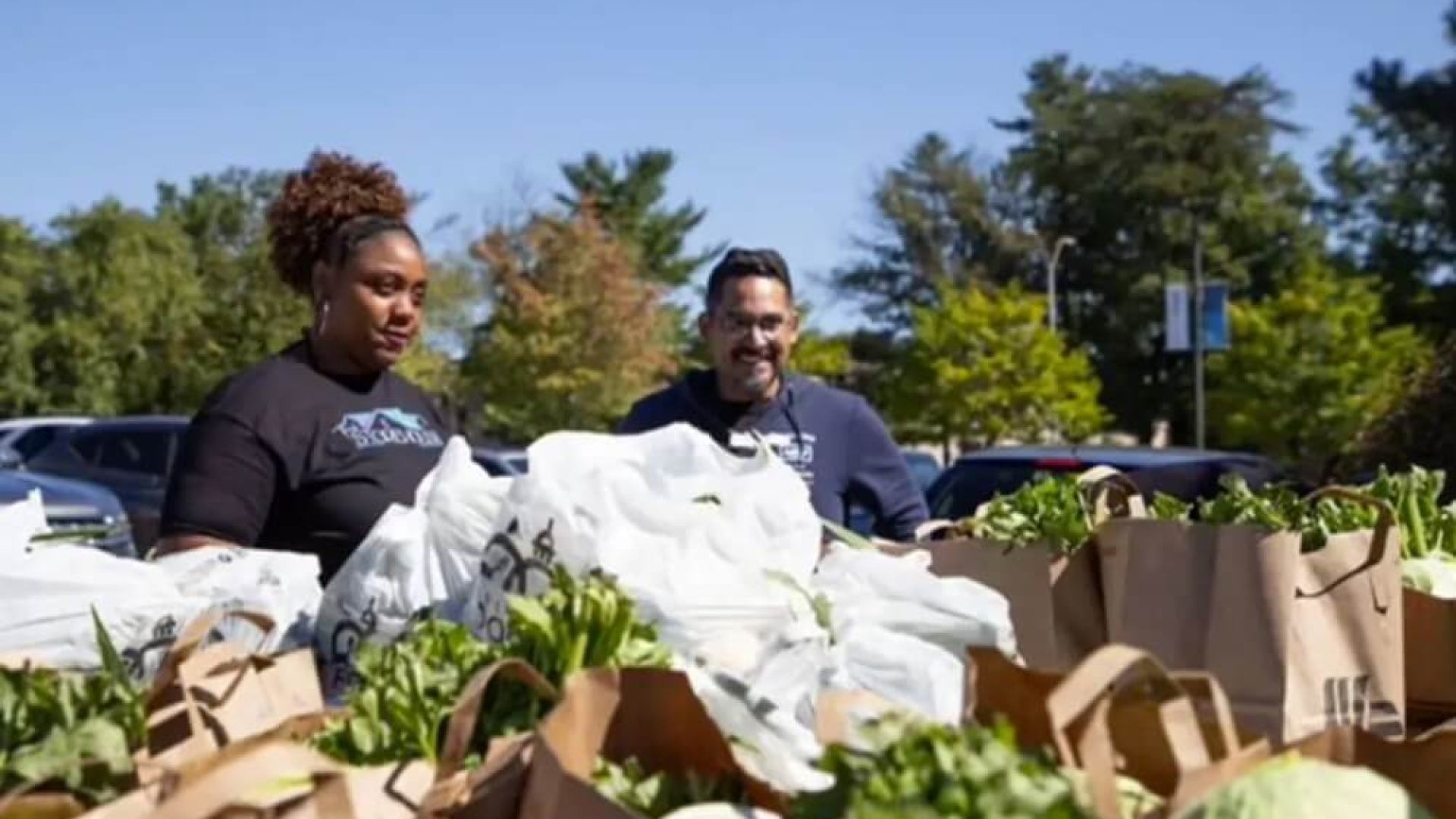 2 people outside in a parking lot surrounded by brown paper bags fille dwith food, with green heads of lettuce sticking out of the tops of the bags, and trees and blue sky in the background along with parked cars.